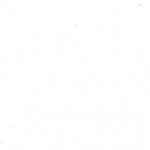 blank white background xbsfzsltjksfompa