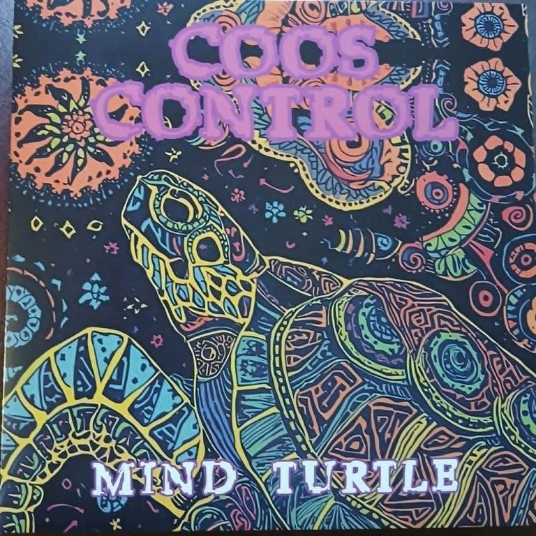 mindturtlefront